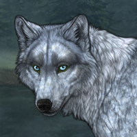 Bitterbark Headshot