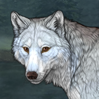 Wolf Headshot