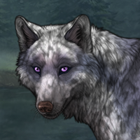 Terzo Headshot