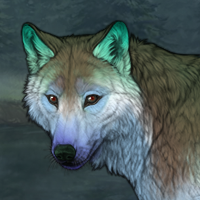 CN Canis' Sarder Headshot