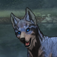 New Adopted Puppy Headshot