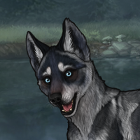 Blueschist!!! Chase Headshot