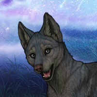 BlueGrey(Onyx grandchild) Headshot