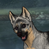 New Puppy T3 Headshot