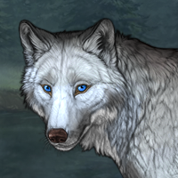 Wolf Headshot