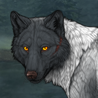 Wolf Headshot