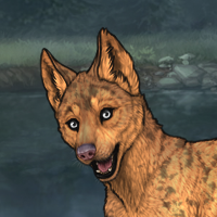 Hilo Headshot