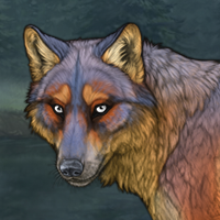 Foxrush Headshot