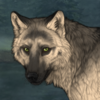 Wolf Headshot