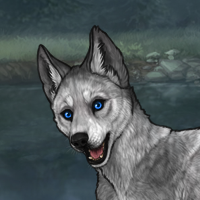 Ernst Headshot