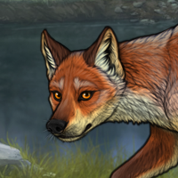 Fox male Headshot