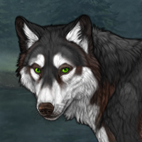 (chaser) Husken Headshot