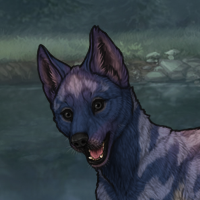 Moonlight Sable Headshot