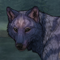 Moonlight Sable Headshot