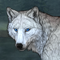 Wolf Headshot