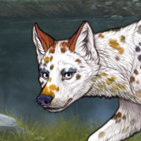 Xanthic Dalmatian Headshot