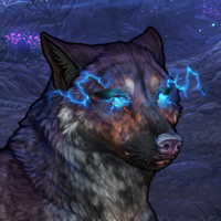 Wolf Headshot