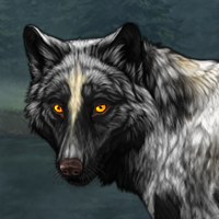 Wolf Headshot