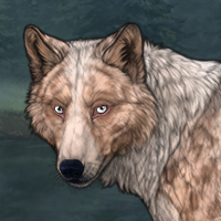 Wolf Headshot