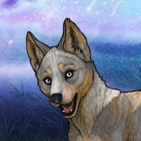 tyyler Headshot