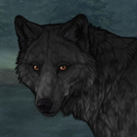Panther Headshot