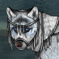 Wolf Headshot