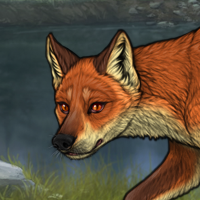 Foxeye Headshot