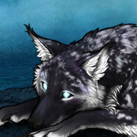 Wolf Headshot