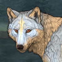 Wolf Headshot