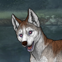 New Puppy spd agil Headshot