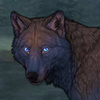 Bear/Giveaway Headshot