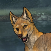 Enclave Pup Headshot