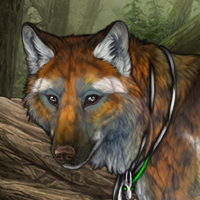 Xenna Headshot