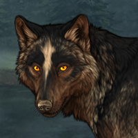 Wolf Headshot