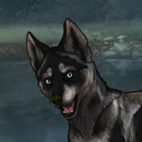 Enclave Pup Headshot