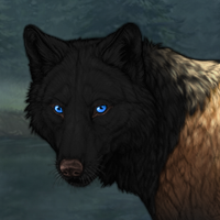 Wolf Headshot