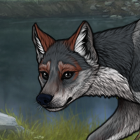 Foxtail Headshot