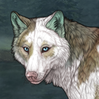 Piebald R&C Headshot