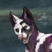 PIEBALD Headshot