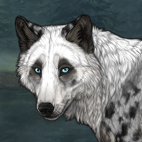 Aarluk Panda Headshot