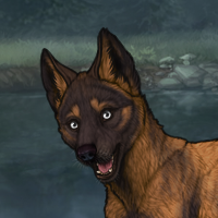 ((Pup))Sell Headshot