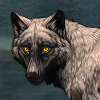 Wolf Headshot