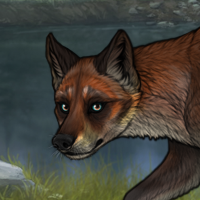 CougPandaNovus Fox Headshot