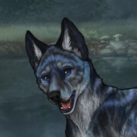 Storm Blueschist Headshot