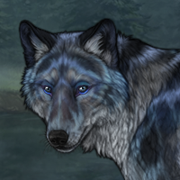 Storm Blueschist Headshot