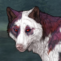 PIEBALD Headshot