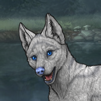 - Breeder Male - Headshot