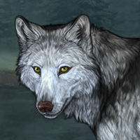 Wolf Headshot