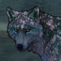 Monkee Headshot