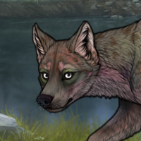 ((Pup))Russet; 7M Headshot